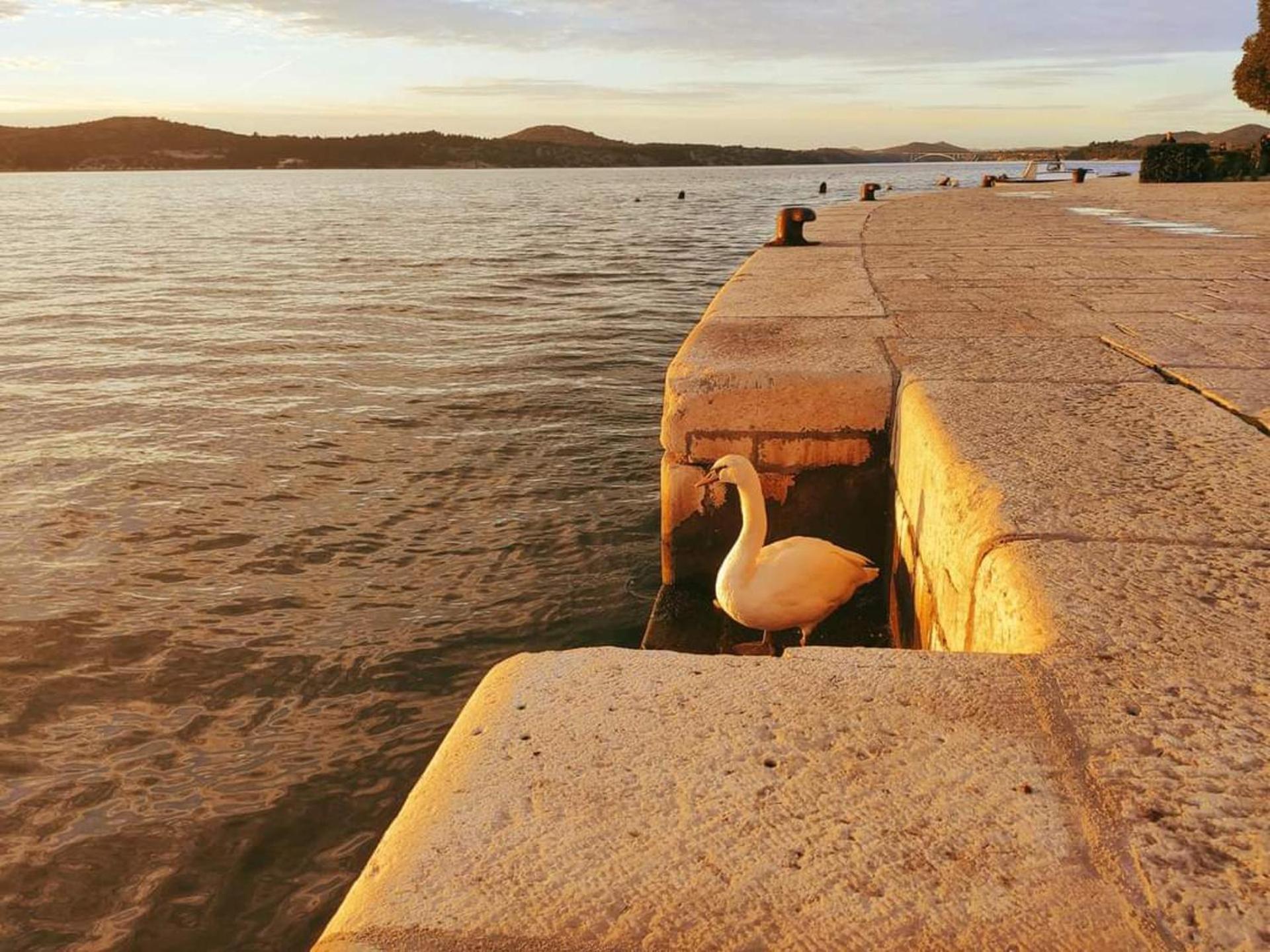 Urban Lights Hideaway - City Center Šibenik Buitenkant foto